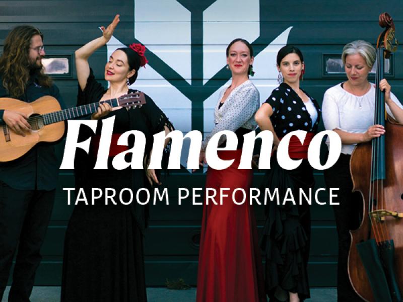 Flamenco performance