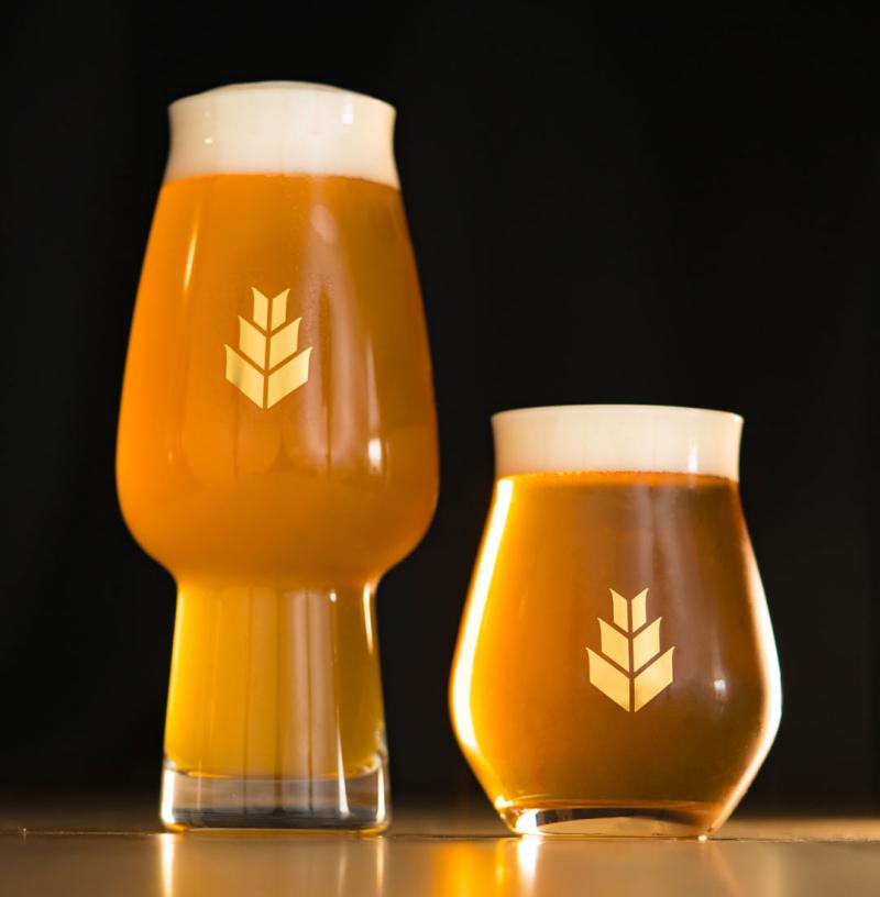 gold logo glasses full