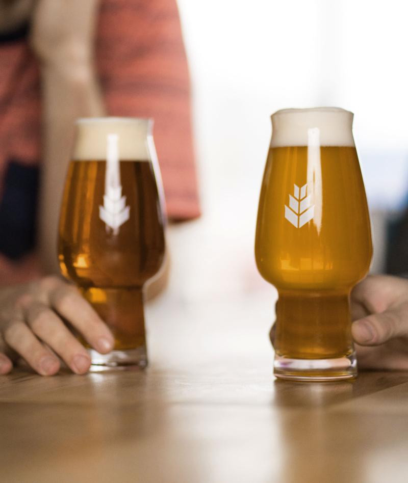 glasses of beer