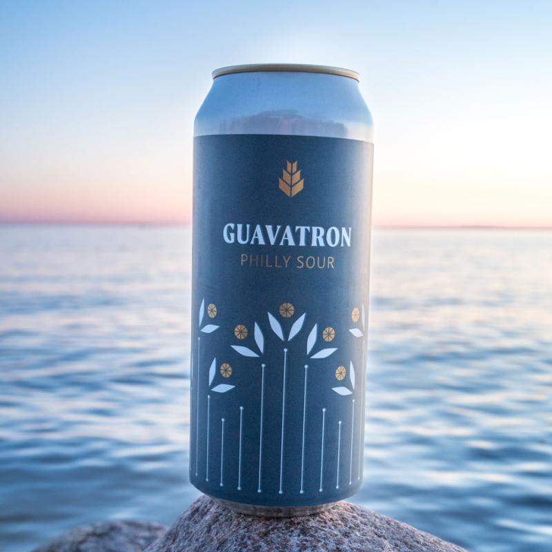guavatron in the sunset